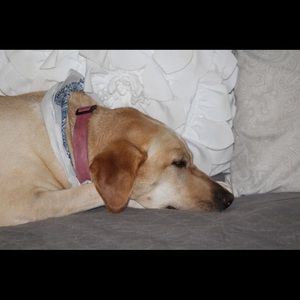 Meet your Posher, Ingrid